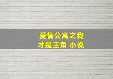 爱情公寓之我才是主角 小说